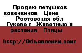 Продаю петушков кохенхинов › Цена ­ 1 500 - Ростовская обл., Гуково г. Животные и растения » Птицы   